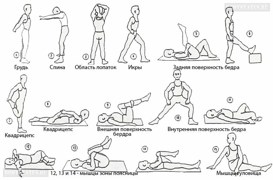 Стретчинг - упражнения для начинающих